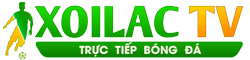 câu lạc bộ bóng đá heidenheim