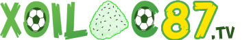 câu lạc bộ bóng đá heidenheim