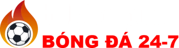 câu lạc bộ bóng đá heidenheim